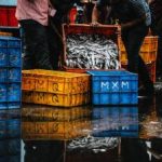 磁力猫bt,磁力下载 4l68c6s