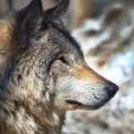 热门吃瓜网址,全国51吃瓜网 5bd4rnbj6