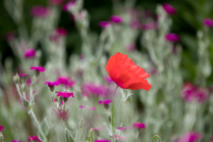 欧美日韩一本无线码专区 欧美日韩一本无线码专区