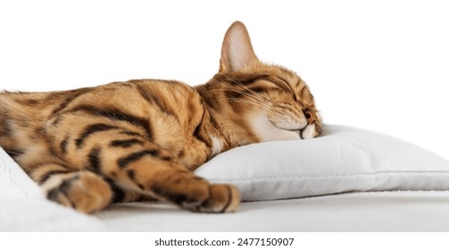 日韩欧美亚洲一线本在线播放 日韩欧美亚洲一线本在线播放