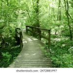 在线看H动漫的网站 8q75b4hx