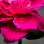 特黄特色三级片 9q4r5n6ce7