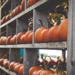 欧美拍拍视频免费大全 aqx7c