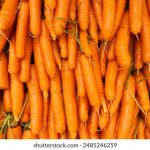 探索“91九色”品牌的多彩魅力与独特魅力之旅 cgjqgpsrgb