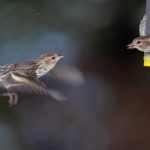 日韩欧美在线综合网 dcxwz