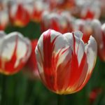 狠狠狠的在啪线香蕉WWW、WL drrces0