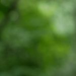 狠狠久久噜噜LOCALHOST e4f14hxohh