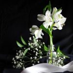 欧美色视频日本片免费 ffuszqwev3