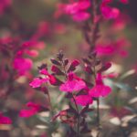 在线日本v二区不卡 g4v2mhmj58