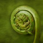 成年性色生活片 g62di7ay