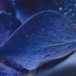 欧美成人午夜免费全部完 r8q4c6e