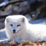 特黄A级小说免费观看 vvtap