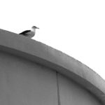 真正免费的欧美AAA wg1i9