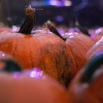 色五月久久中文字幕 wiwp3