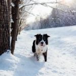 偷自在线观看 y9g38847wf