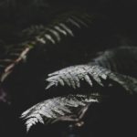 tbox导航网页版:全面解析在线导航工具的优势与使用技巧 1ybgp