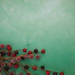 tbox junior:探索儿童创意与学习的全新工具平台 p6ji65jg